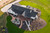 Roof - 