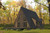 A-Frame House Plan - 38255 - Front Exterior
