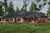 European House Plan - Woodland Winds 48262 - Rear Exterior
