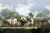 Secondary Image - Southwest House Plan - Scottsdale 56338 - Front Exterior