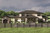 Mediterranean House Plan - Montclaire 43752 - Rear Exterior