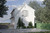 Traditional House Plan - Midway 91835 - Rear Exterior