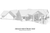 Mountain Rustic House Plan - Abrams Mountain 20912 - Right Exterior