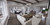 Farmhouse House Plan - Westfield 38675 - Great Room