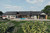 Farmhouse House Plan - Ironwood Haven 25889 - Rear Exterior