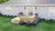 Traditional House Plan - Wyola 39044 - Exterior