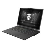 MECH-17 G2 - AMD Ryzen 9 6900HX - 17.0" WQXGA - Cherry® MX Mechanical - Gaming Laptop