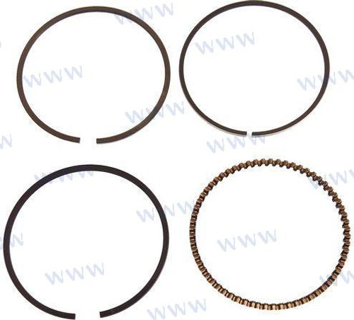 PISTON RING ASSY (PAF20-05020100)