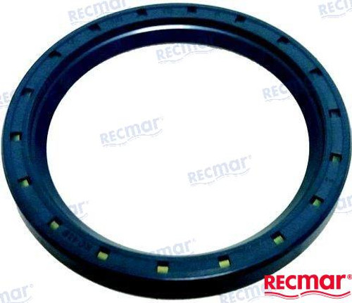 CRANCKSAFT OIL SEAL (REC1542318)