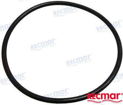 O-RING (REC308876)