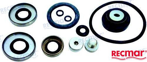 GEARCASE SEAL KIT (REC396350)