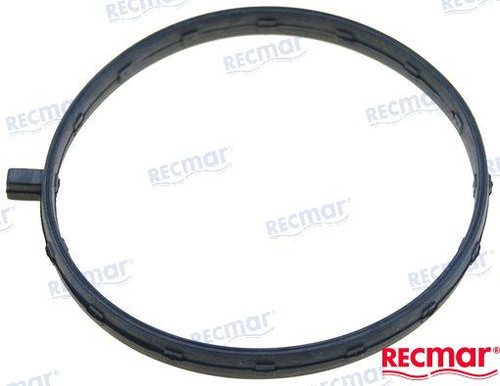 INTAKE GASKET (REC17109-ZY3-004)