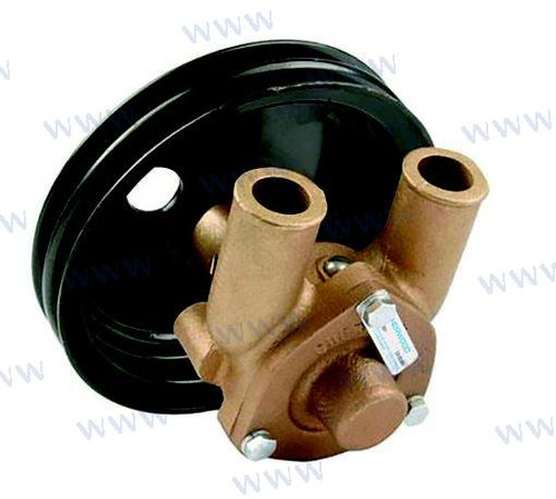 PUMP (SHER991)