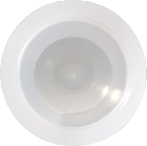 FROSTED GLOBE LENS  (91017B7)