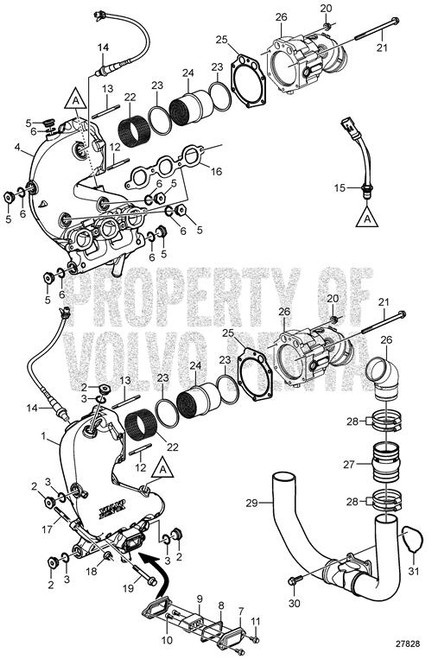 Gasket - Volvo Penta (22029563)