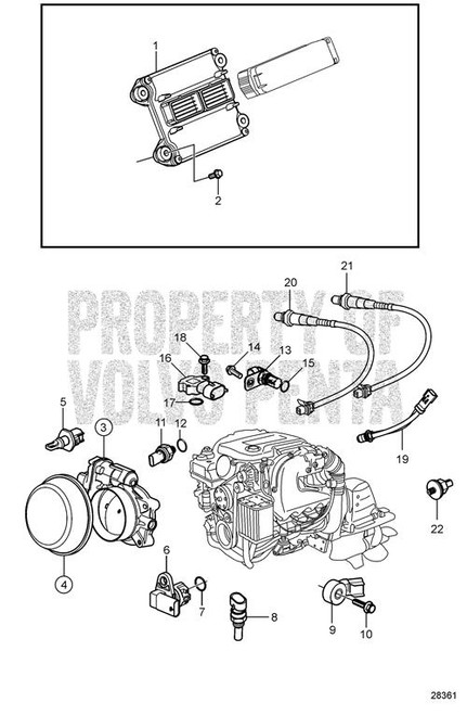 V-Ribbed Belt (V2) - Volvo Penta (22365251)