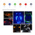 XTRME PRO X6 LED Dock LGHTNG (LEDBW-80-2-RW-DP)
