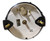 SPEEDOMETER (F45008)