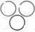 PISTON RING SET (RM861955)