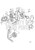 Bracket(V2) - Volvo Penta (20739051)