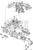Bracket (V2) - Volvo Penta (21606981)