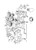 Screw - Volvo Penta (955547)