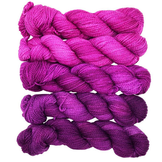 Jub-Jub Bird, Gradient is a collection of five mini-skeins that make up a light to dark gradient of our tonal colorway 'Jub-Jub Bird.'