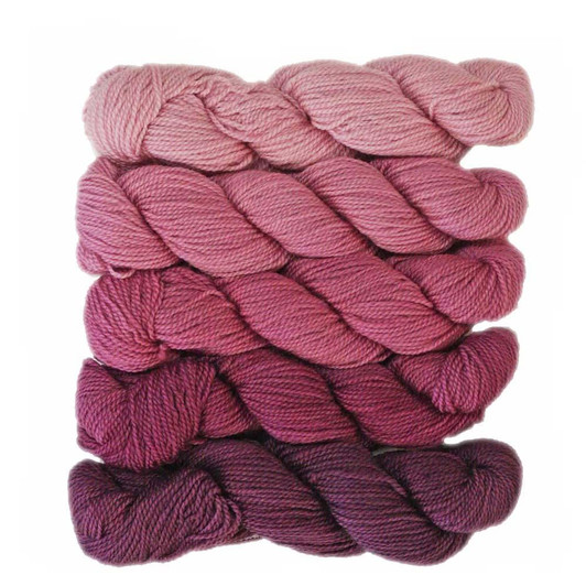 Handsome Pig gradient is a collection of five mini-skeins that make up a light to dark gradient of our tonal colorway 'Handsome Pig.' Hand-dyed in Vermont by Wonderland Yarns.