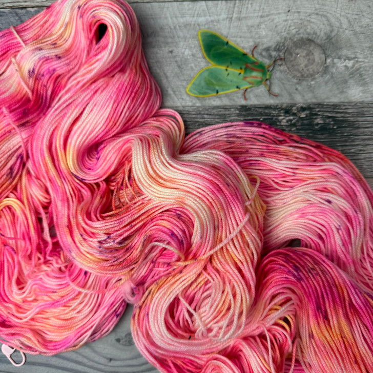 Meet our Panic from the Project Bag colorway 'Yarn Chicken!' Shown here on our Mary Ann sock/fingering yarn base .