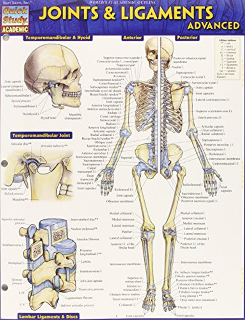 Joints & Ligaments Advanced (Quick Study Academic)