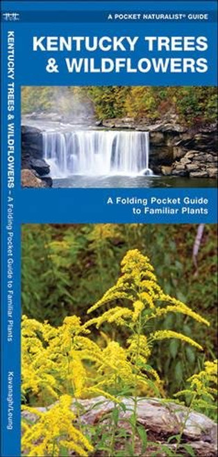 Kentucky Trees & Wildflowers: A Folding Pocket Guide to Familiar Species (A Pocket Naturalist Guide)