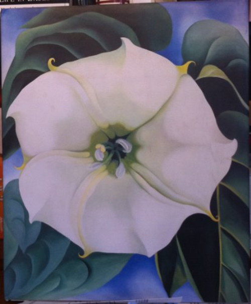 Georgia O'Keeffe: One Hundred Flowers