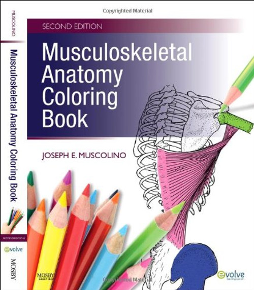 Musculoskeletal Anatomy Coloring Book, 2e