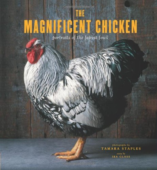 The Magnificent Chicken: Portraits of the Fairest Fowl