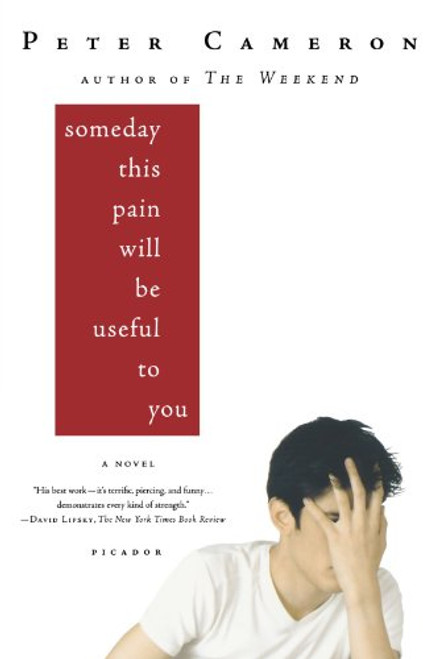 Someday This Pain Will Be Useful to You: A Novel