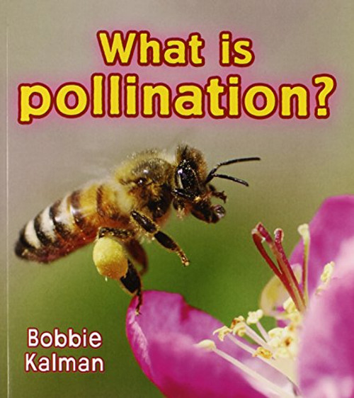 What is Pollination? (Big Science Ideas)