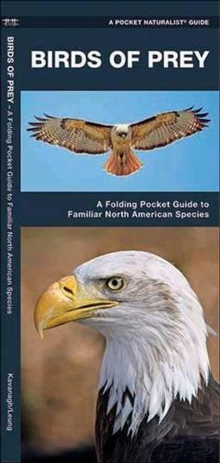 Birds of Prey: A Folding Pocket Guide to Familiar North American Species (A Pocket Naturalist Guide)