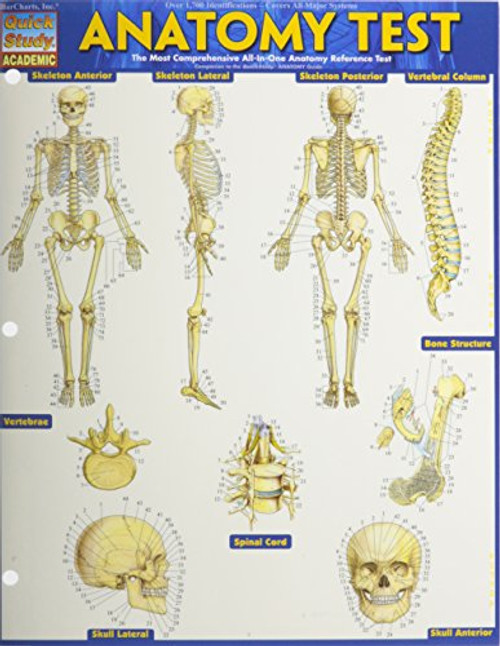 Anatomy Test