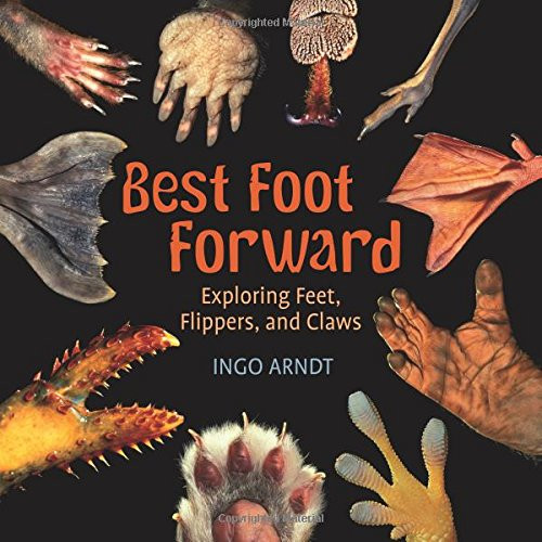 Best Foot Forward: Exploring Feet, Flippers, and Claws