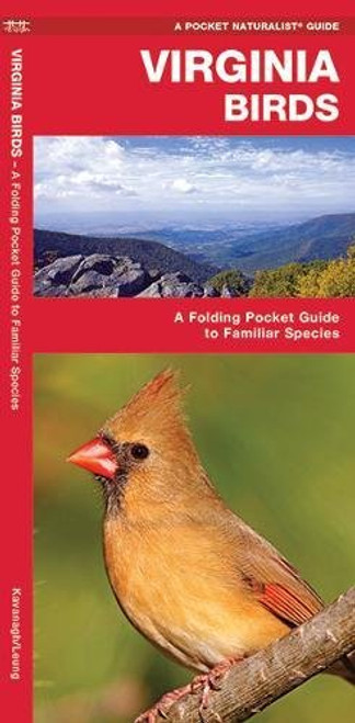 Virginia Birds: A Folding Pocket Guide to Familiar Species (A Pocket Naturalist Guide)