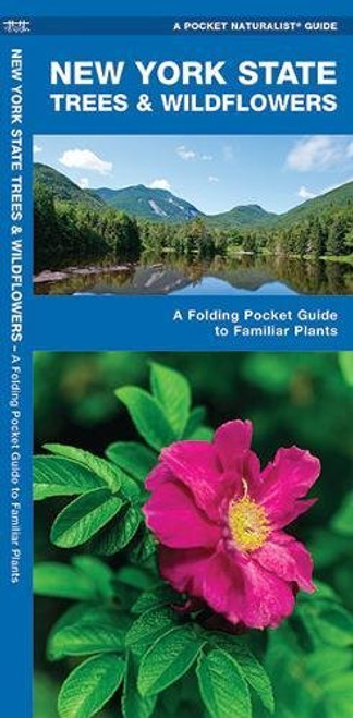 New York State Trees & Wildflowers: A Folding Pocket Guide to Familiar Species (A Pocket Naturalist Guide)