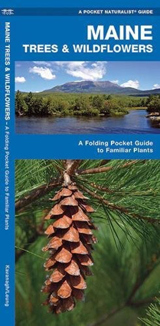 Maine Trees & Wildflowers: A Folding Pocket Guide to Familiar Species (A Pocket Naturalist Guide)