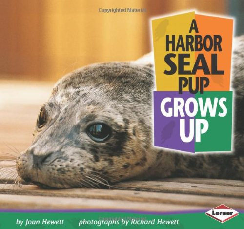 A Harbor Seal Pup Grows Up (Baby Animals)