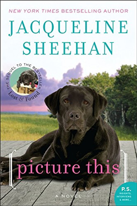 Picture This: A Novel