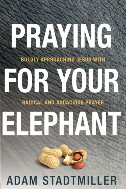 Praying for Your Elephant: Boldly Approaching Jesus with Radical and Audacious Prayer