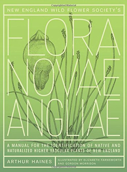 New England Wild Flower Society's Flora Novae Angliae: A Manual for the Identification of Native and Naturalized Higher Vascular Plants of New England
