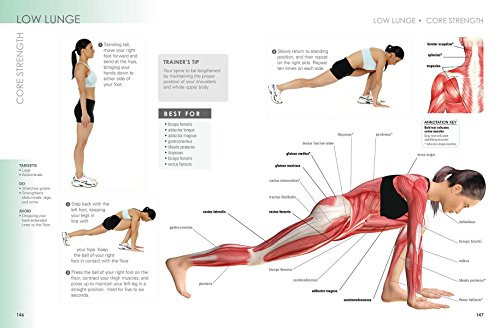 Anatomy of Running: A Trainer's Guide to Running