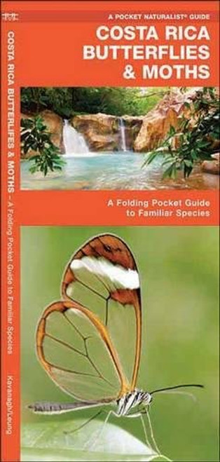 Costa Rica Butterflies & Moths: A Folding Pocket Guide to Familiar Species (A Pocket Naturalist Guide)