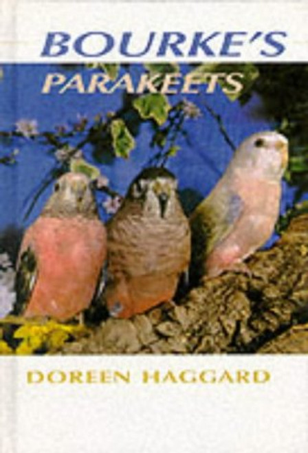 Bourke's Parakeets