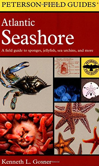 A Field Guide to the Atlantic Seashore: From the Bay of Fundy to Cape Hatteras (Peterson Field Guides)